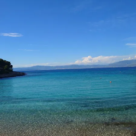 Apartament Octopus Sutivan